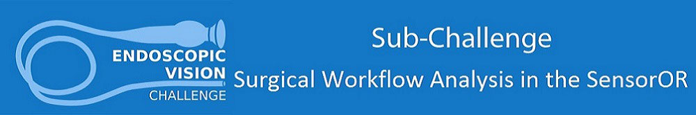 EndoVisSub - Surgical Workflow Analysis Sub-challenge Banner