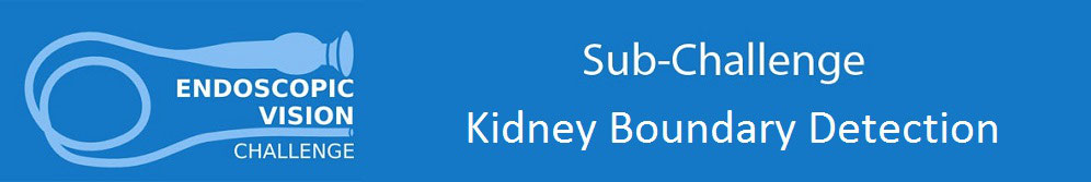 EndoVisSub2017-KidneyBoundaryDetection Banner