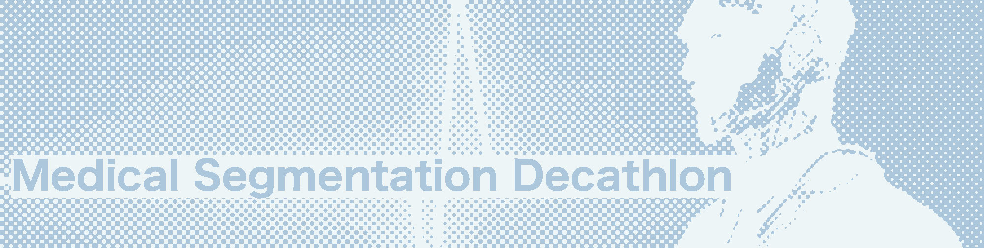 Decathlon Banner