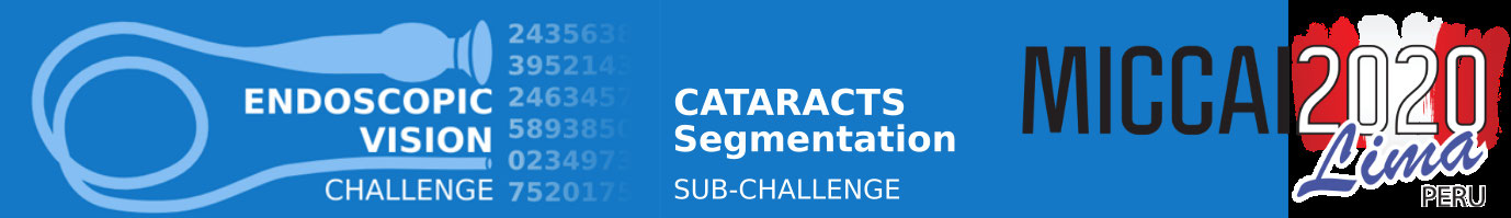 CATARACTS  Semantic Segmentation 2020 Banner