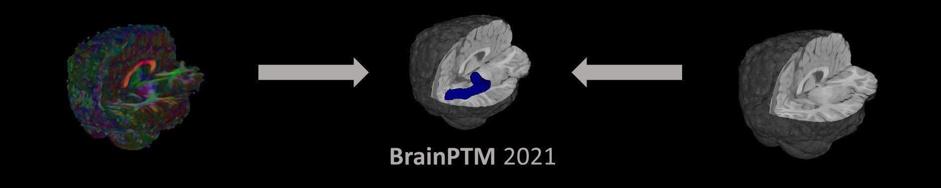BrainPTM 2021 Banner