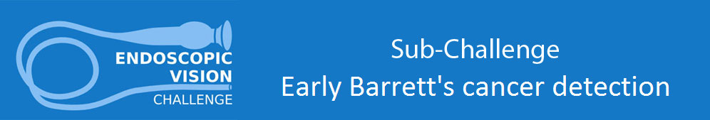 EndoVisSub-Barrett Banner