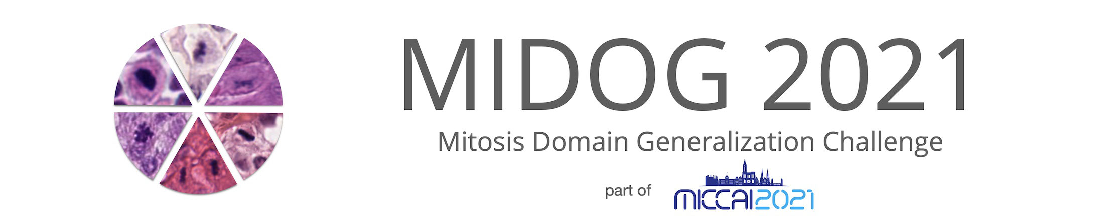 MIDOG Challenge 2021 Banner