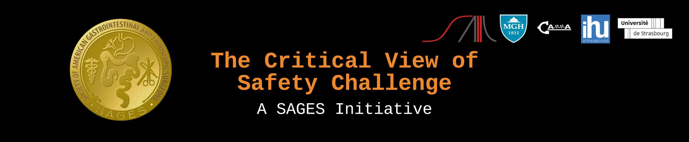 SAGES CVS Challenge (CVS-Challenge) Banner