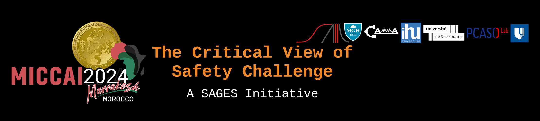 SAGES CVS Challenge (CVS-Challenge) Banner