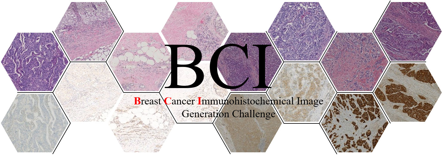 Breast Cancer Immunohistochemical Image Generation Challenge Banner