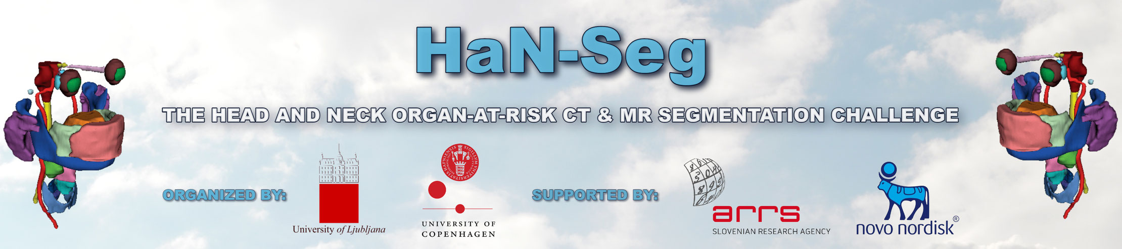 The Head and Neck Organ-at-Risk CT & MR Segmentation Challenge Banner