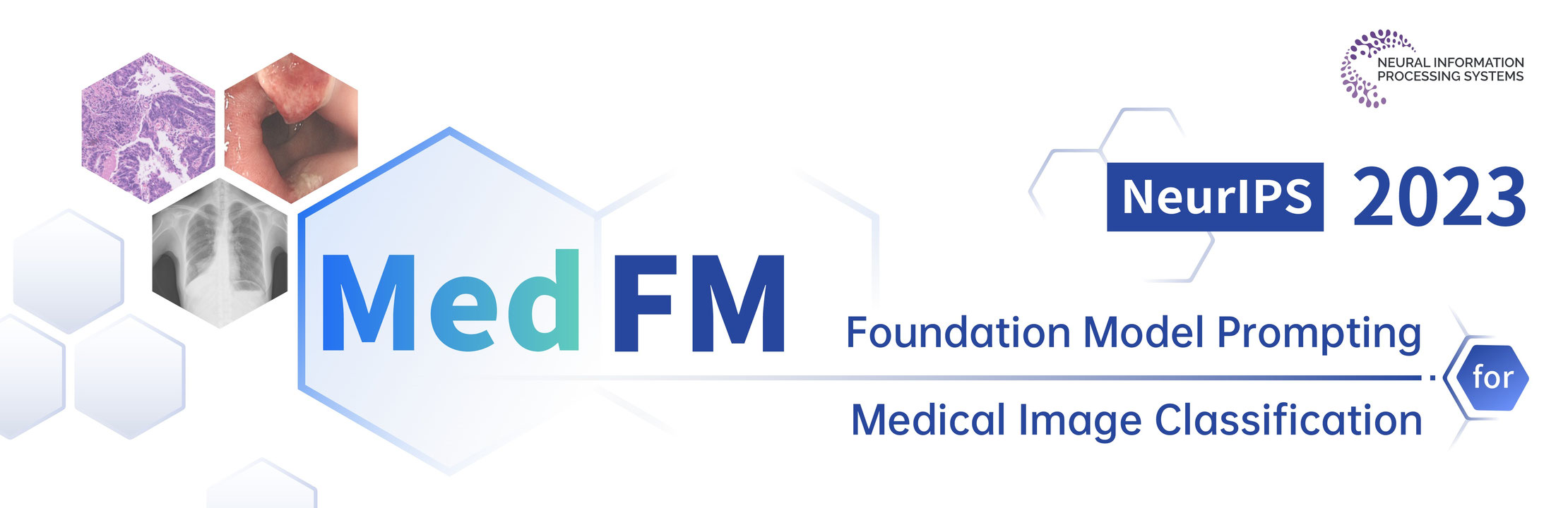 Foundation Model Prompting for Medical Image Classification Banner