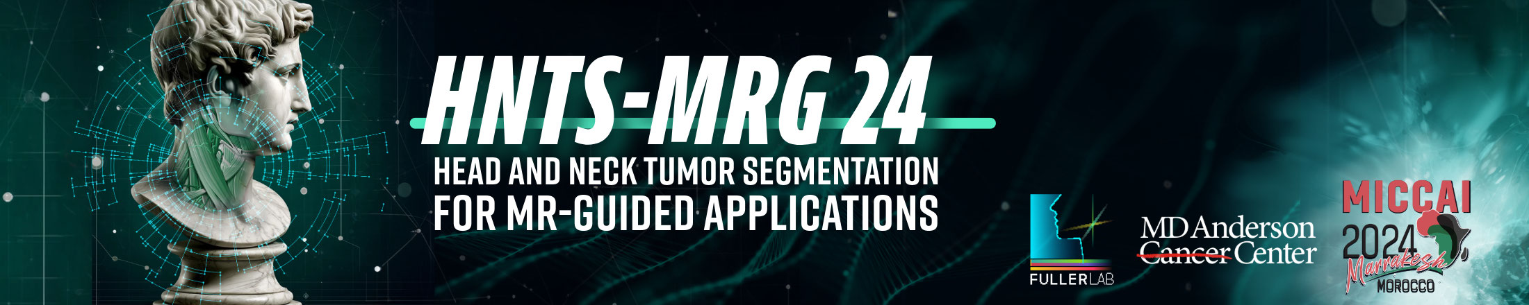 Head and Neck Tumor Segmentation for MR-Guided Applications Banner