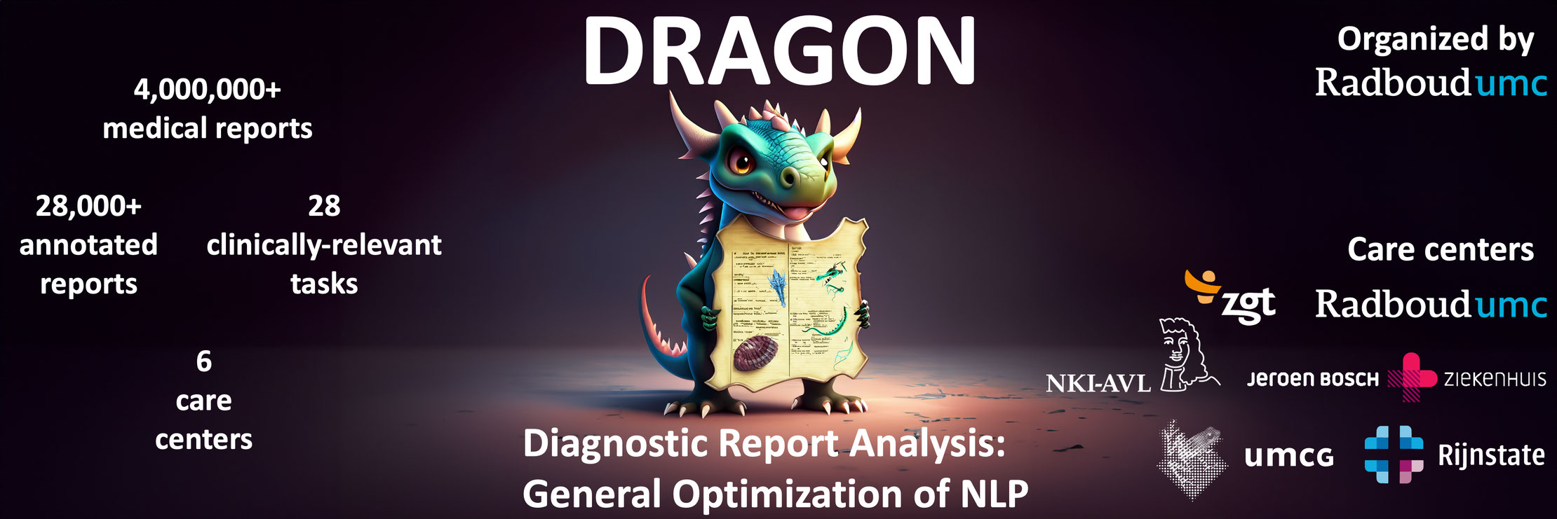 Diagnostic Report Analysis: General Optimization of NLP Banner