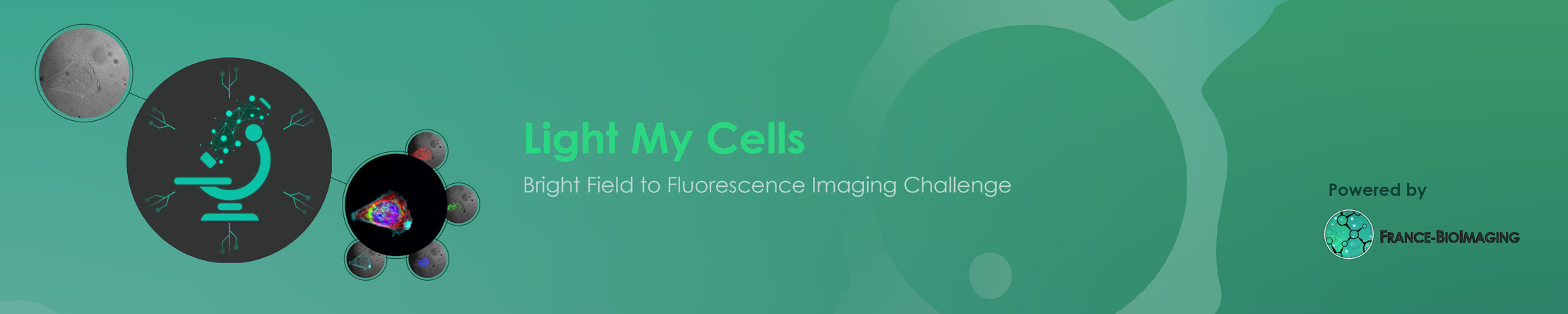 Light My Cells : Bright Field to Fluorescence Imaging Challenge Banner