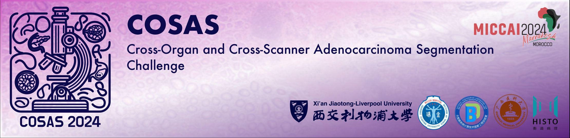 Cross-Organ and Cross-Scanner Adenocarcinoma Segmentation Banner