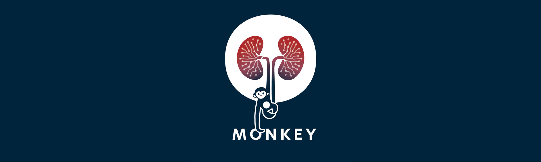 MONKEY challenge: Detection of inflammation in kidney biopsies Banner