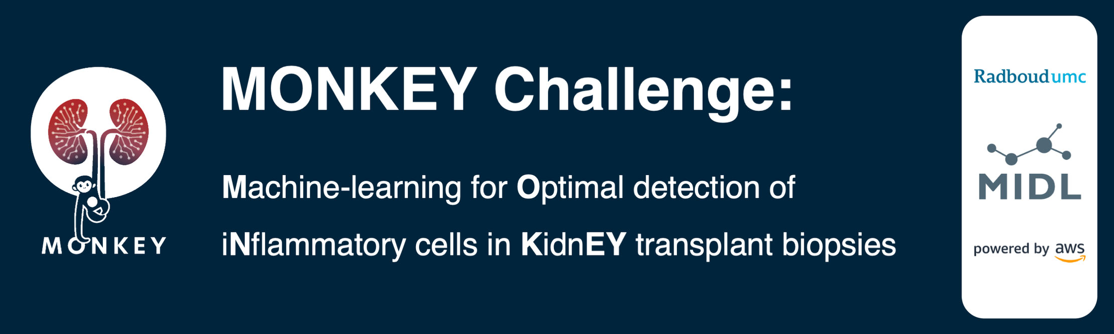 MONKEY challenge: Detection of inflammation in kidney biopsies Banner