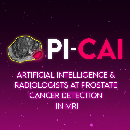 Logo for PI-CAI: Baseline nnU-Net (semi-supervised) trained on PI-CAI: Private and Public Training Dataset