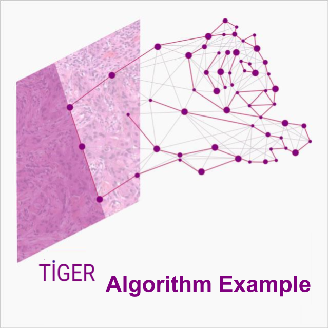 Logo for Tiger Algorithm Example