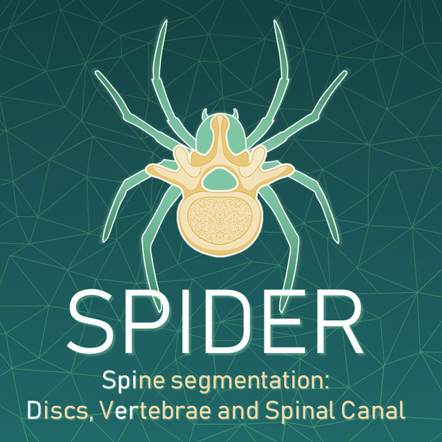 SPIDER Baseline IIS Logo