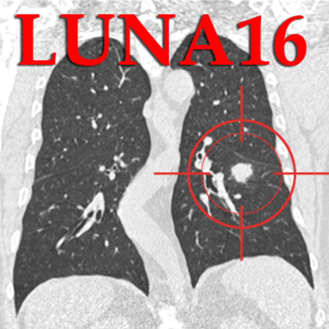 LUNA16 Logo