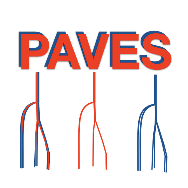 PAVES Logo