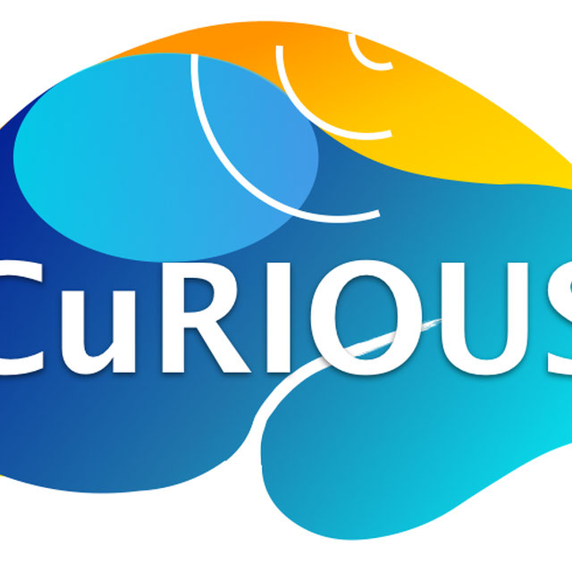 curious2019 Logo