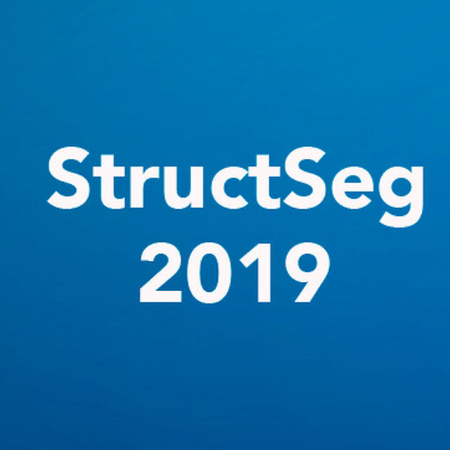StructSeg2019 Logo