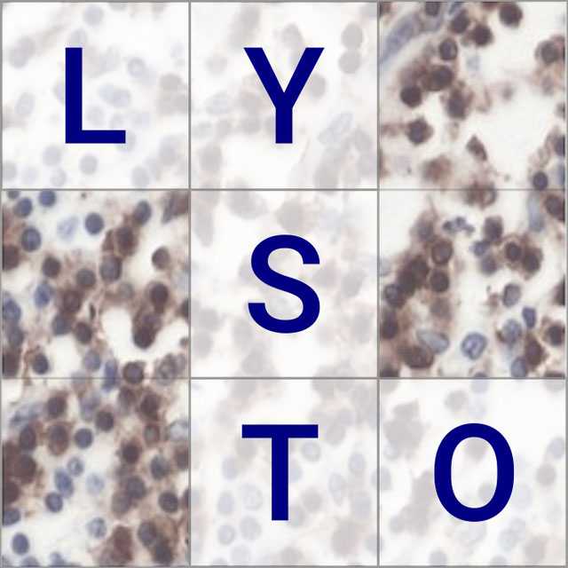 LYSTO Logo