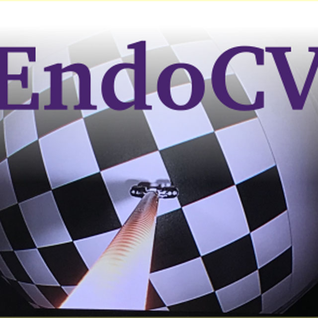 EndoCV Logo