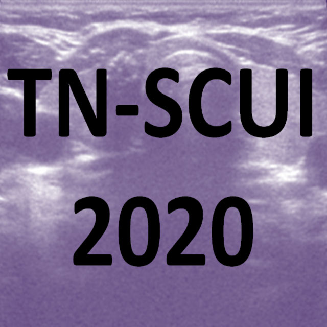 TN-SCUI2020 Logo