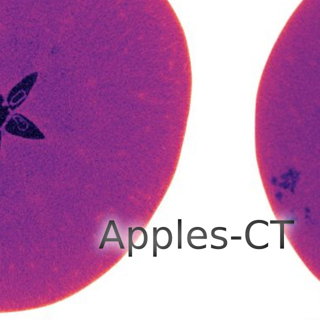 apples-ct logo