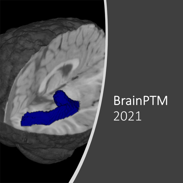 BrainPTM-2021 logo