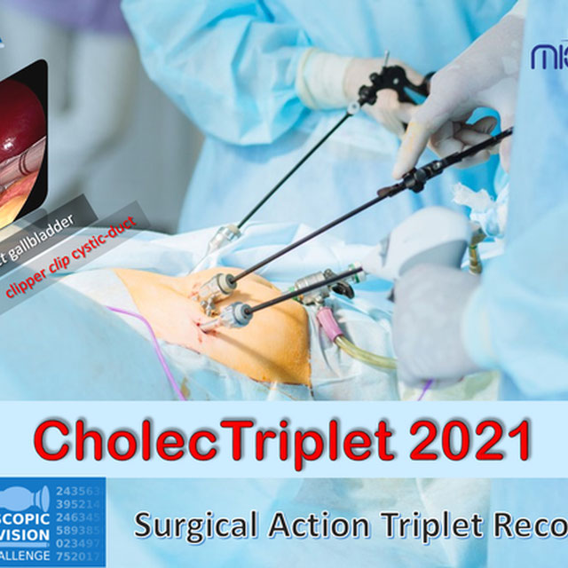 CholecTriplet2021 logo