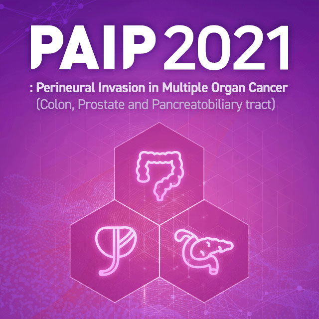 PAIP2021 logo