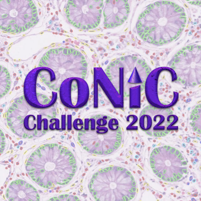 CoNIC-Challenge logo