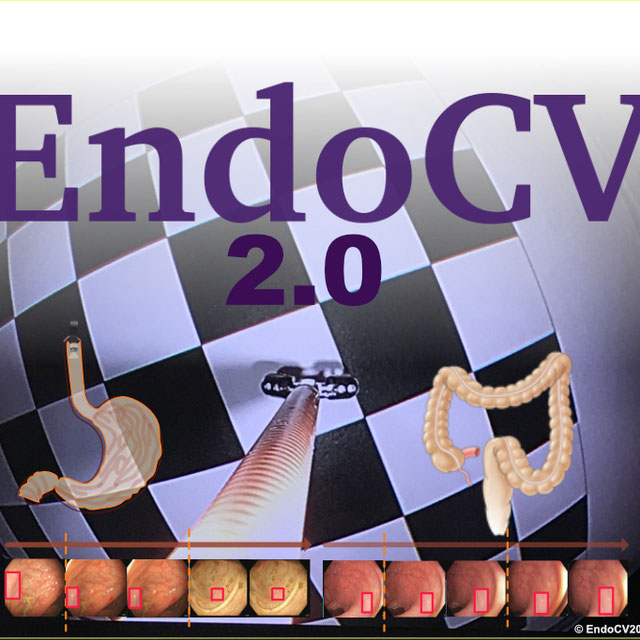 EndoCV2022 logo