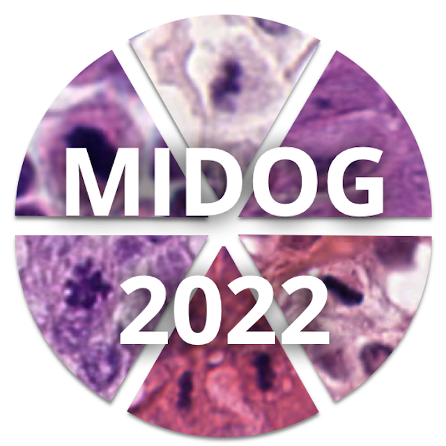 Logo for Mitosis Detection, Fast and Slow (MDFS)