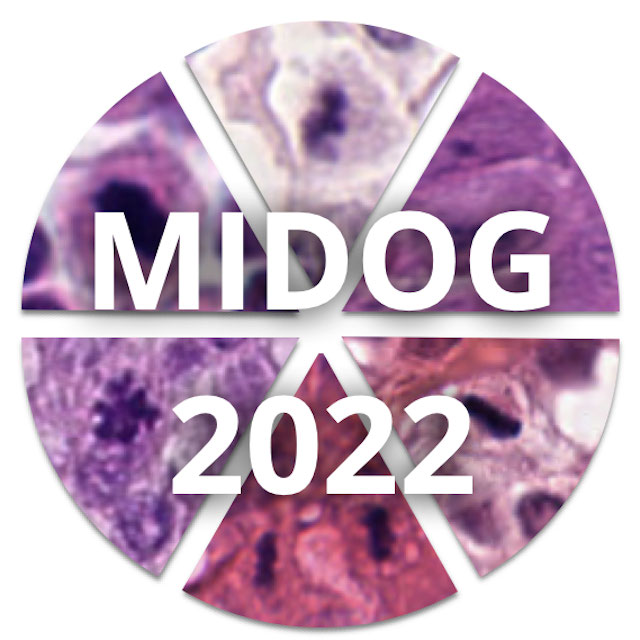 Mitosis Detection, Fast and Slow (MDFS) Logo