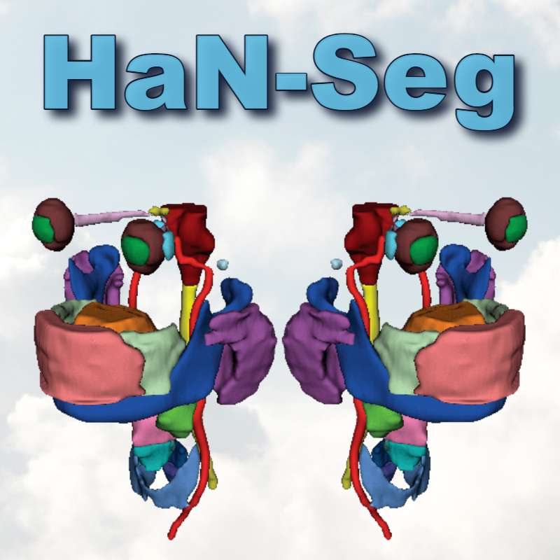 Logo for Hanseg23_Simple