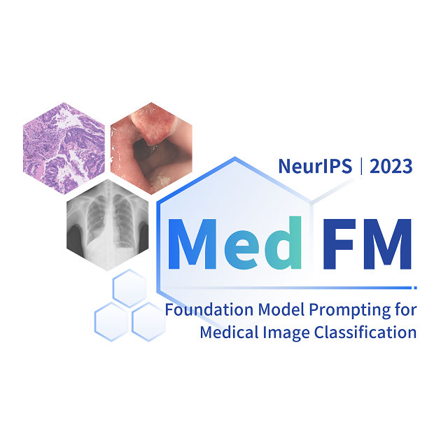 MedFM2023 logo