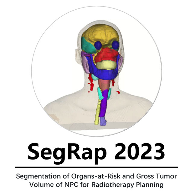 SegRap2023 logo