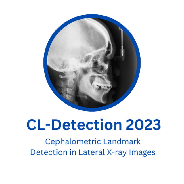 CL-Detection2023 logo