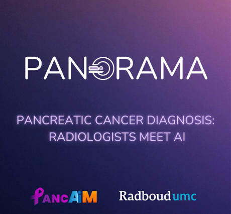 Logo for Fully automatic PDAC detection on CECT - PANORAMA challenge baseline