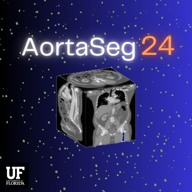 AortaSeg24 Logo