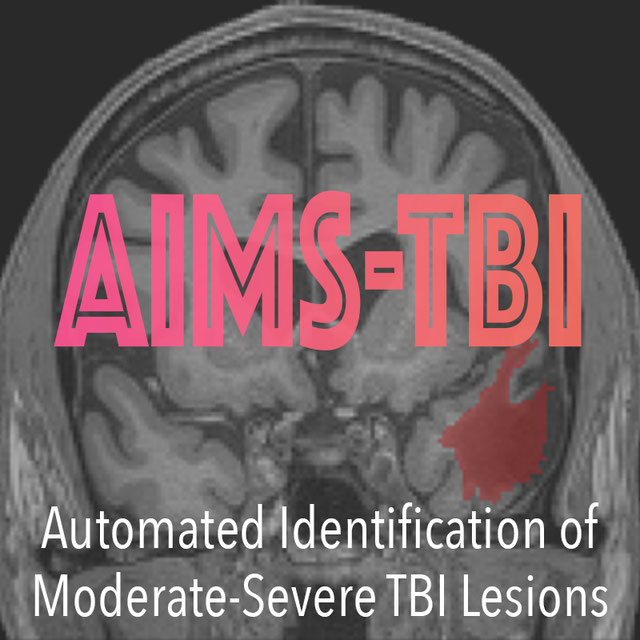 AIMS-TBI logo