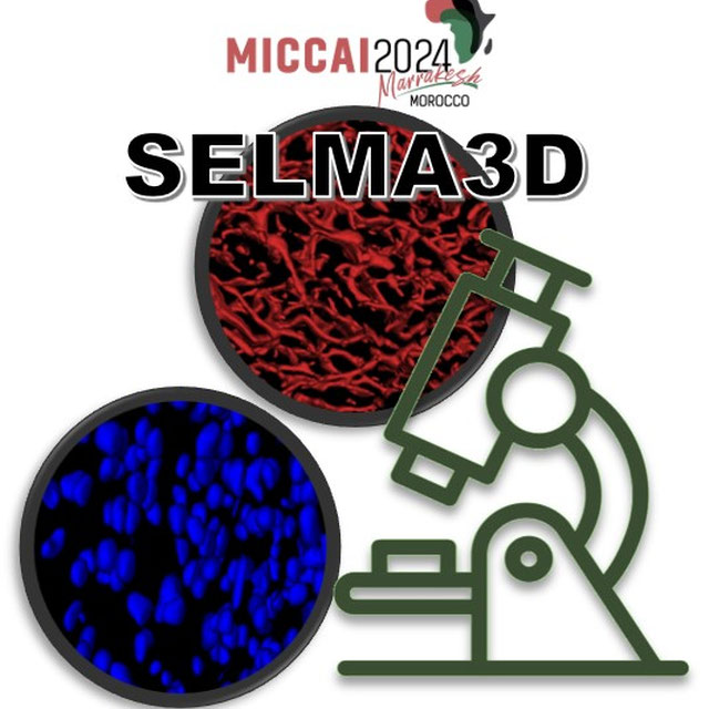 SELMA3D logo