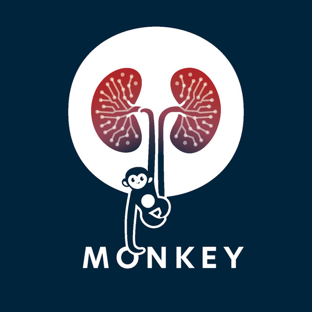 MONKEY logo