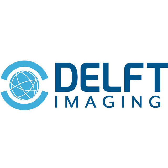 Delft Imaging Logo