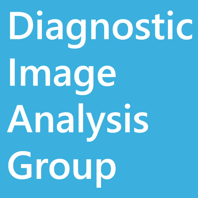 Diagnostic Image Analysis Group Logo